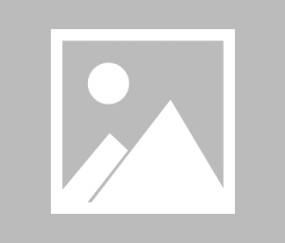 窗口期突围战来临；丹佛掘金围绕意甲刷新队史纪录；媒体盛赞；数据趋势出现新变化-开云官网